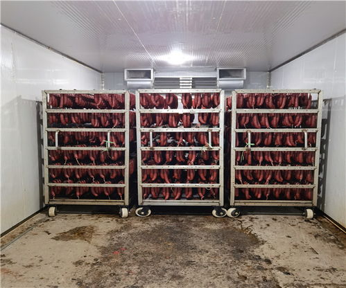 上海枸杞干燥機(jī)銷(xiāo)售商與木耳干燥機(jī)規(guī)格技術(shù)咨詢(xún)指南