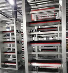 攜手創(chuàng)新，智贏未來(lái) 自動(dòng)化蛋雞養(yǎng)殖設(shè)備技術(shù)咨詢與生產(chǎn)合作指南